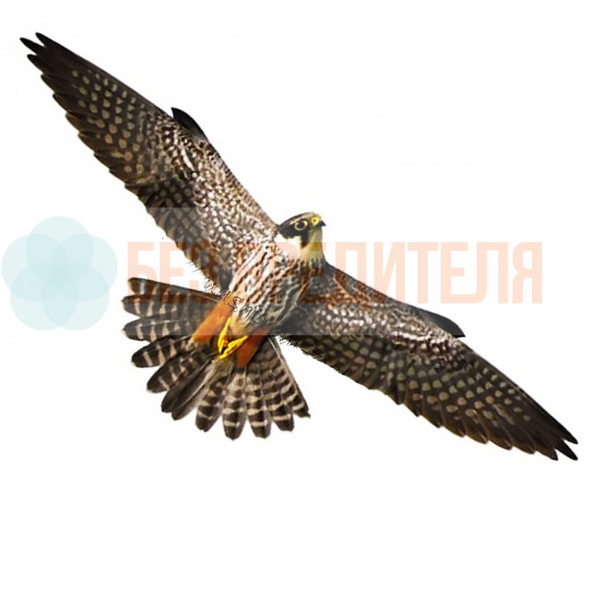 Визуальный отпугиватель птиц Хищник 2 Визуальный отпугиватель птиц Хищник 2
